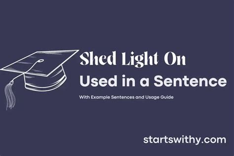 shed light on example sentence.